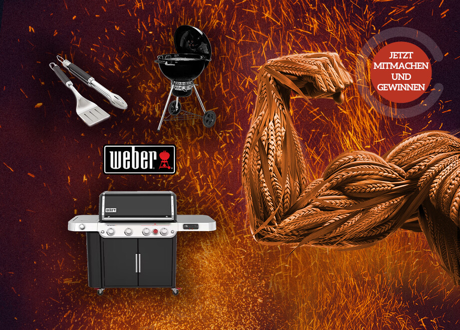 AVASTEL Pack kaufen - Grillgewinne von Weber