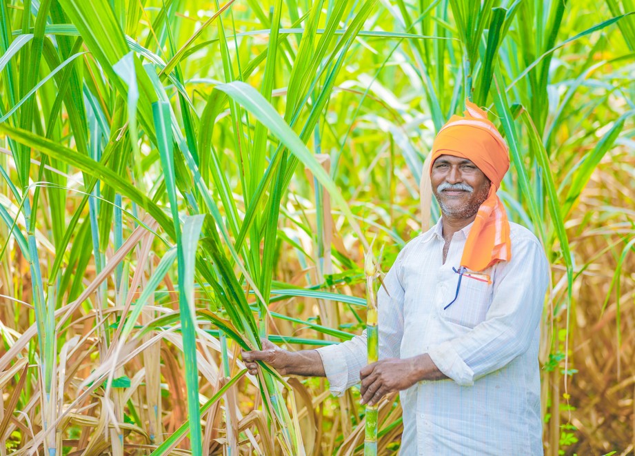 Farmer with Sugar Cane