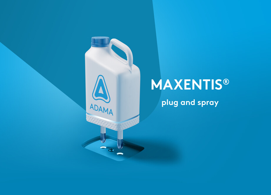 maxentis