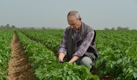 Technology in farming.