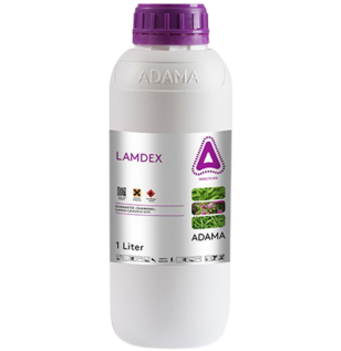 Lamdex