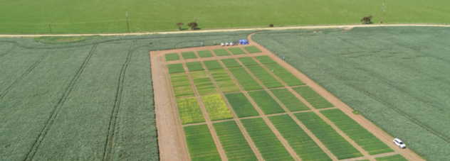 ADAMA South Australia Solutions Site 2021